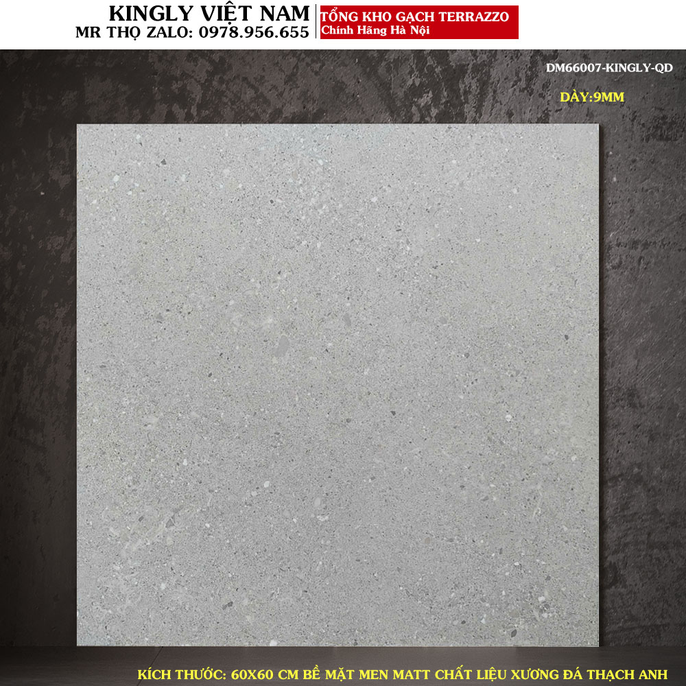 Gạch lát nền giả đá Terrazzo 60x60 DM66007 Loại A1